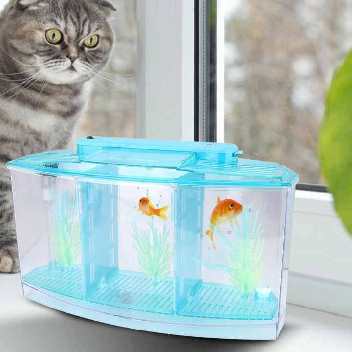 楽天市場】【魚の飼育、初心者】卓上小型水槽 水槽セット 小型水槽 