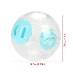 yʔ`N[|IznX^[GNTTCY{[ p XilY~GNTTCY{[ ybgpvX`bN XilY~̃GNTTCY{[ nX^[̃GNT