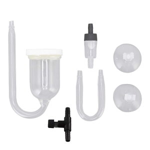 ANAEoufBt[U[ ϕH zՌp  C ψȐ _Yf ڋl܂h~