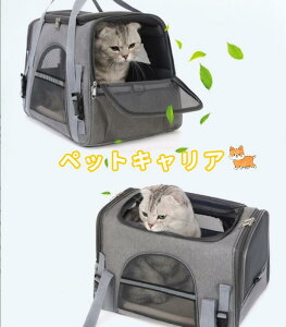 ybgLAʋCbVLLAobO܂肽݃|[^uLAeʎqobOsLvVbsO