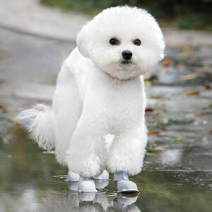 4 u[c h\[ ~  veN^[߉\ Xgbvt O̓ pu[c hpu[c (4) hbOu[c hVRpu[c JC ی E