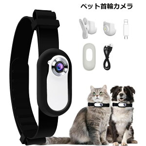 ybgփJ ybg ybgANVJ ybgpĎJ LJ փJ SmFĎ Lp ybgX|[cJ LJ ˂  HD 1080P 0.96 C` L