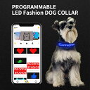【APPでDIY可能！】光る首輪 犬 LED首輪 レインボー ライトアップ 発光首輪 夜間 首輪 散歩 安全 事故防止 充電式 USB…