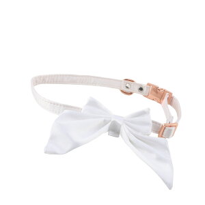 {E^Cybg̎֒߉\ȍobN킢L̎֏^^qLp