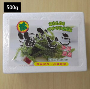 CԂǂ 500g×1 i5tj
