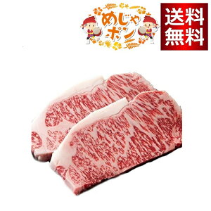 {X ꌧYa A5 A4 Ί_IXe[L ij spϔt 200g×2