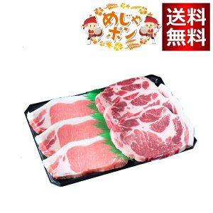 {X ꌧY [؃Xe[LZbgspϔt