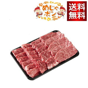 {X ꌧYa Ί_ I[X ēp す 500g^ij 500g