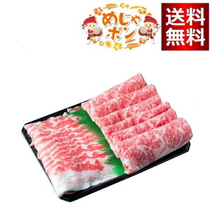 {X ꌧY Ί_ [ Ԃ Ăp Zbgspϔt