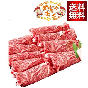 {X ꌧYa A5 A4 Ί_ Ă Ԃԗp す 500g^ij 500g