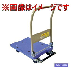 iV ^ TCg}X^[ DSK-101B