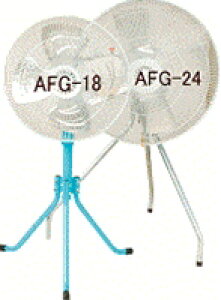 ANAVXe AFG-24 GA[^[H X^h^