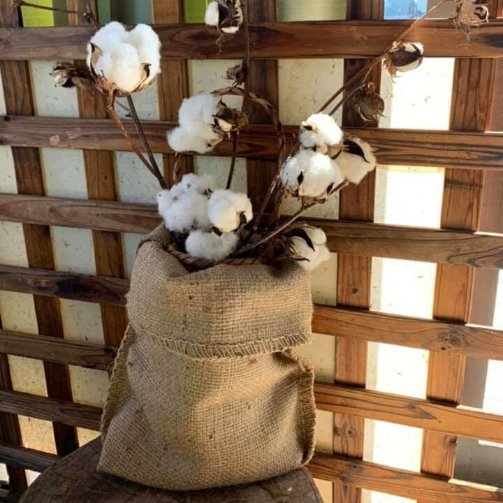 楽天市場 麻袋 ミニ ドンゴロス 小さいサイズ ガーデニング 鉢カバー 雑貨 収納 ジュート生地 無地 園芸 Diy 棚 材料 おしゃれ 研磨プロショップ Noboru