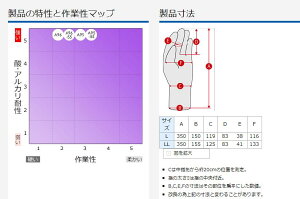 _C[uA95EX (35cm) wh ώ_ σAJp S Ɨp ϖi SO[u O