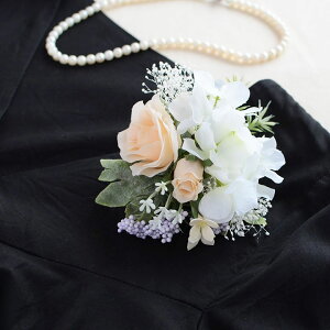 y[zy2WAYz[YEzԁEݑ/RT[WyS3FzO[EsNEx[W/ԁEA[eBtBVt[[ot240]