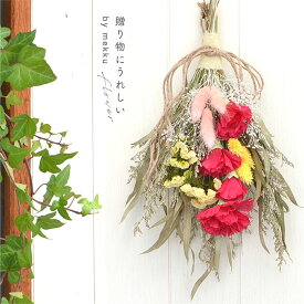 楽天市場 母の日 カーネーション ドライフラワー 花 観葉植物 花 ガーデン Diyの通販 楽天市場 母の日 カーネーション ドライフラワー 花 観葉植物 花 ガーデン Diyの通販