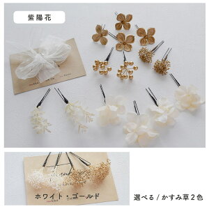 y[zAll z [ S[ht[ /A[eBtBVt[ԁmwa219n