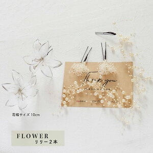 y[zNA  t[Ep[r[Y O 40cm ݑy3ށz[SEAllEӒ[fc308]