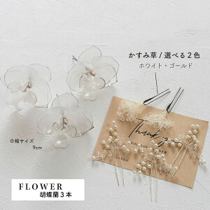 y[zNA  t[Ep[r[Y} ݑy3ށz[SEAllEӒ[fc309]