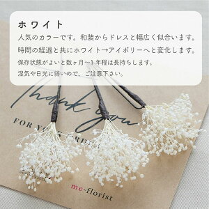 y[zl Ǝ yS3Fzݑ3{SETwbhsEvU[uht[[fc242]zCg /S[h /bh