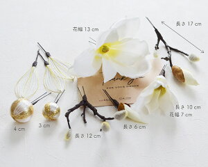 y[zC l  Ǝ uC_ a U/ /zCg sN /A[eBXgt[ [wa177]