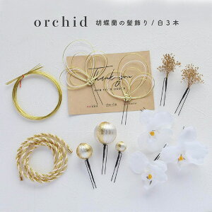 ElEƎ/Iׂa̔/ R/A[eBtBVt[ԁyS5zmwa169n