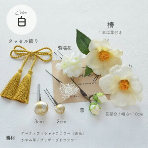 y[zlEƎ /g̒(coL) ݑ gR{R[yS2FzzCg Ebh [wa110]