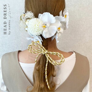 y[zlEEƎ/Ӓ gR{  } /ԁEA[eBtBVt[[wa135]