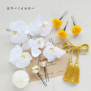 y[zlEEƎ/ӒE gR{ } yS3F/CG[ F/zCg /bh ԁzԁEA[eBtBVt[[wa160]