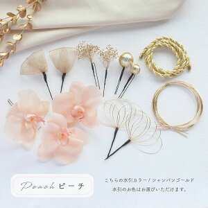 y[zl  Ǝ  uC_ a C U /Ӓ  R /sNyIׂ2FzsN s[`[wa163]