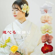 胡蝶蘭の髪飾り 成人式 日本製 5点SET/かすみ草 2色 白 ゴールド プリザーブドフラワー/花 アーティフィ…