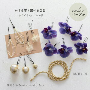 y[zӒ  a ݑ gR̘a y2Fzp[v E}[^ Ԏ[wa196]