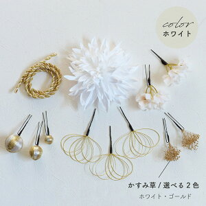 y[z_A  a ݑ gR̘a y2Fzbh ԁEzCg [wa198]