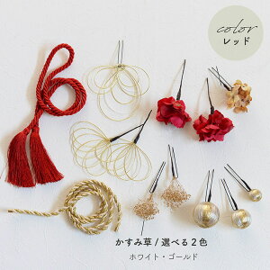 y[zz  a ݑ gR ^bZ̘a y2FzubN Ebh [wa197]