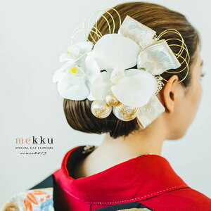 y[zӒ  a ݑ a yIׂ鐅4FzEVpES[hEVo[[wa202]