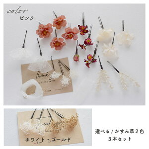 y[zI[KW[{ ݑ zԂ̃t[ y2FzsNEIW[wa218]