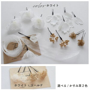 y[z|s[ ݑ I[KW[{ y2FzzCg EubN [wa220]