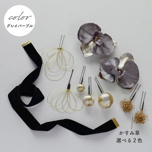 ӒƗʃxA{R ̔[wa223]yIׂ2ށz6mmR2{E25mmR1{