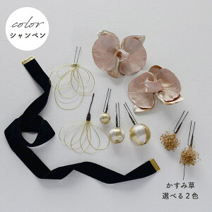 ӒƗʃxA{R ̔[wa223]yIׂ2ށz6mmR2{E25mmR1{