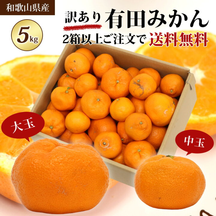 楽天市場】【訳あり】 大玉 中玉 みかん 有田みかん 5キロ 2箱以上 