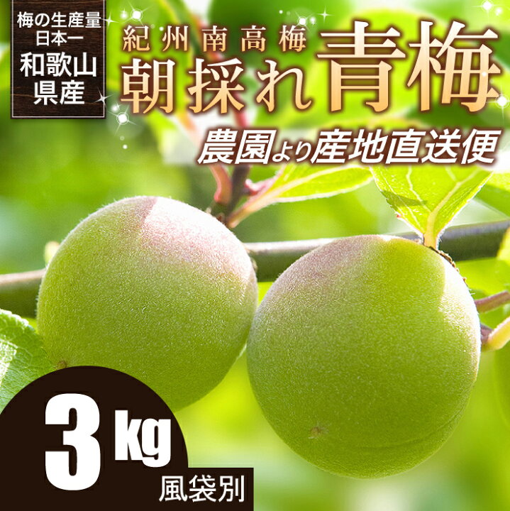 楽天市場】青梅（紀州南高梅）和歌山県産 紀州南高青梅 朝採れ青梅 L 