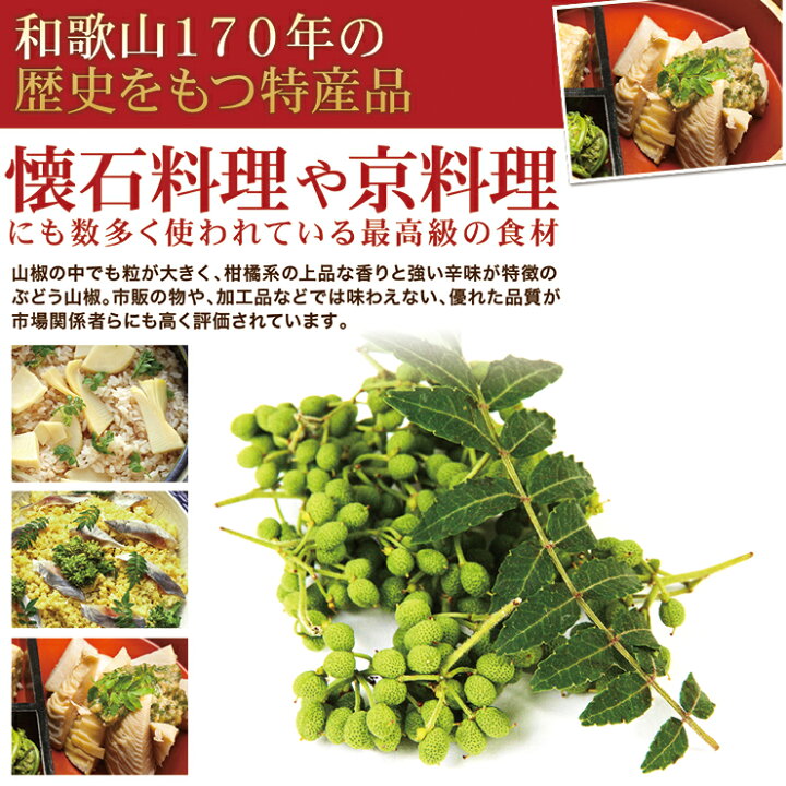 楽天市場 山椒 山椒の実 500g 生 紀州和歌山特産 生山椒 山の宝石 国産 ぶどう山椒 500ｇ 実山椒 産地直送 さんしょう クール便配送 和歌山県 生山椒 有田川 国産 山椒 調味料 花椒 スパイス 有田みかんのメリメロフルーツ