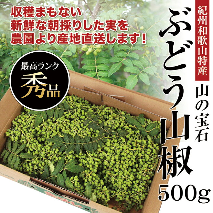 楽天市場 冷凍 山椒 山椒の実 500g 紀州和歌山特産 山の宝石 国産 ぶどう山椒 500ｇ 実山椒 産地直送 さんしょう クール便配送 和歌山県 有田川 国産 山椒 調味料 花椒 スパイス 有田みかんのメリメロフルーツ
