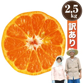 【訳あり】 有田 ポンカン 2.5kg 訳あり みかん科 柑橘類 2.5kg ぽんかん 産地直送 和歌山県 有田市 蜜柑科 ミカン科 set セット 果物 フルーツ おいしい 美味しい 甘い 自宅用 箱買い 家庭用 2.5キロ 訳アリ 国産 日本