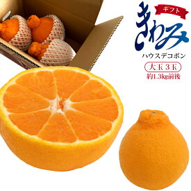 楽天市場 大きい みかんの通販