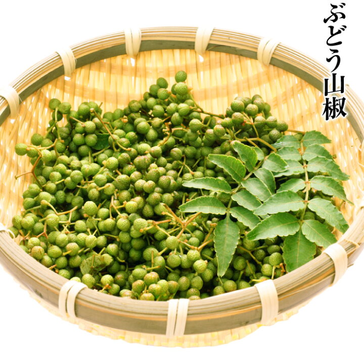 楽天市場】山椒 生山椒 山椒の実 500g 紀州和歌山特産 山の宝石 国産 