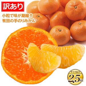 【訳あり】 有田 手のりこつぶみかん 2.5kg 蜜柑 ミカン 2.5kg 最高糖度(傷み保証有)小粒サイズ(2S SS ひとくちサイズ) 和歌山県 有田市 みかん 小粒 小玉 蜜柑 ミカン set セット 果物 フル