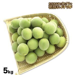 �~ �~��p �������� �I�B�썂�~ �a�̎R���Y �I�B �썂�~ ���̂�~ M�T�C�Y 5kg 5�L�� ���~ �F�~ �Y�n���� �I�B ���� �E�� ���F�~ �a�̎R ���� �①�� �~ ���H�p �� �������i �~�� �~����