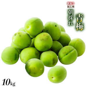 �y�󂠂�z �썂�~ �~ �a�̎R���Y ���̂�~ ���ܕ� 10kg 10�L�� 10.0kg �F�~ �F�~ �a�̎R �E�� ���� �������� �Y�n���� ������ ���� ���~ �~��p �~�����p �~��p �ƒ�p �i M L LL 3L 4L )