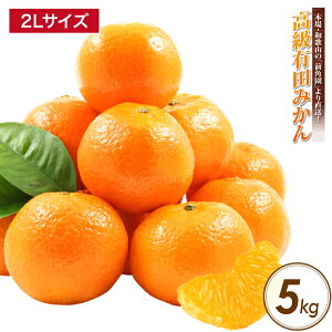 和歌山みかん みかん 5kg 農家直送 前角園の高級有田みかん 2Lサイズ 蜜柑 ギフト用(お歳暮) 有田みかん 秀品 和歌山産 有田産 5キロ ミカン 送料無料 和歌山県 有田市 みかん 産地直送 5.0kg